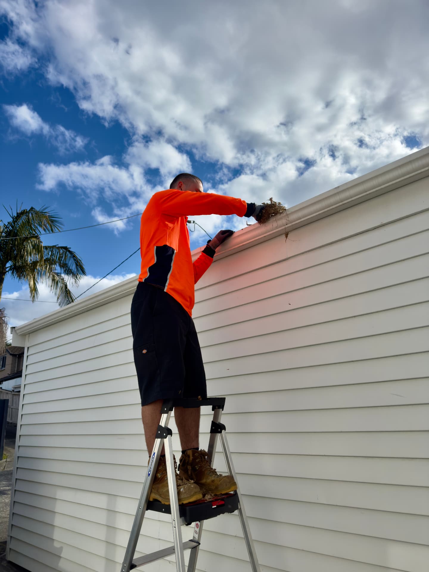 Gutter Cleaning service in Auckland